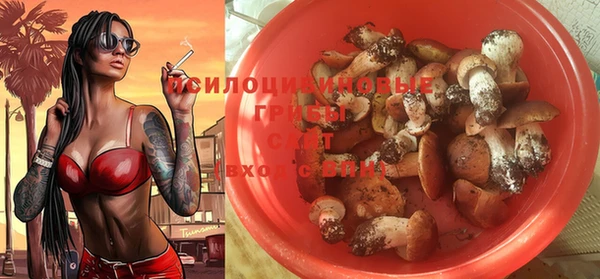 MESCALINE Алзамай