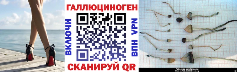 Псилоцибиновые грибы ЛСД Нижний Ломов